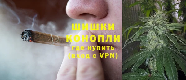 хмурый Корсаков