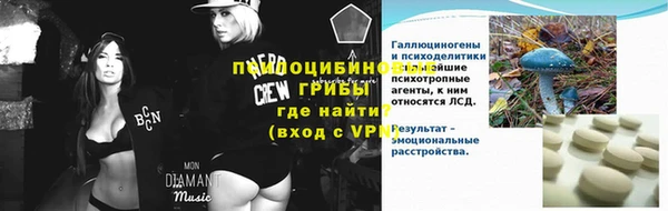 spice Абаза