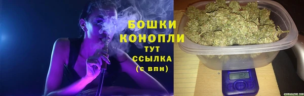 хмурый Корсаков