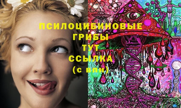 ПСИЛОЦИБИНОВЫЕ ГРИБЫ Абинск