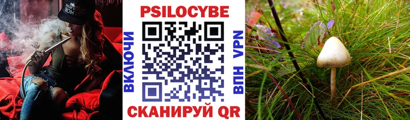 Галлюциногенные грибы Cubensis  Липецк 